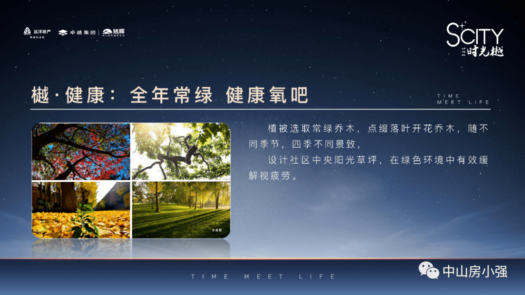 2025年新澳门和香港正版精准免费大全,精选解析、专家解析解释与落实